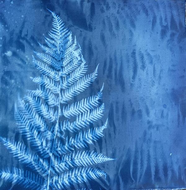 Cyanotype print of fern by Marolyn Krasner