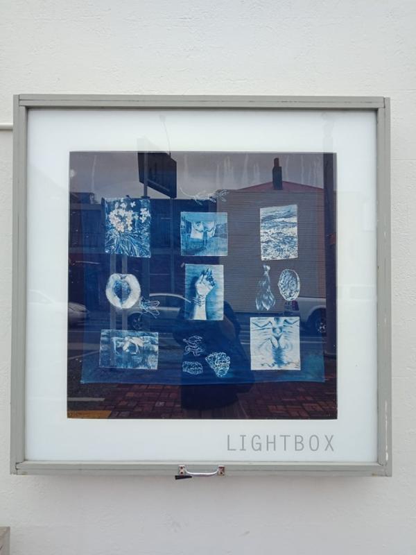 cyanotype by Alice Fennessy