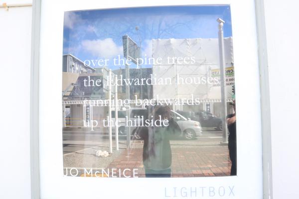 In the lightbox - an excerpt from the poem 'Aro Valley'