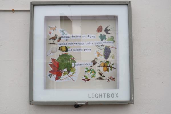 Lightbox Poetry installation - a collage by Cadence Chung