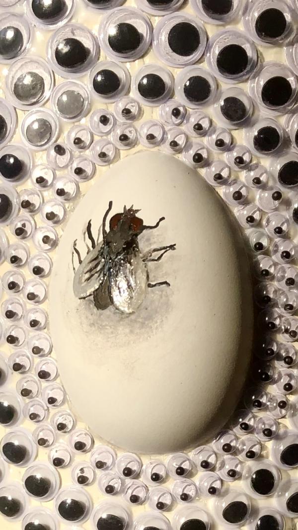 3d collage by James Harcourt. Googly eyes and a rock painted with fly that look like it could be real.