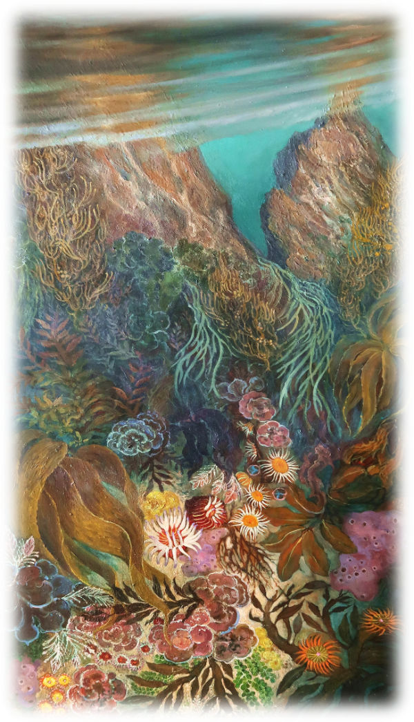 A detailed painting of colourful coral reefs and rocks by Margaret Elliot