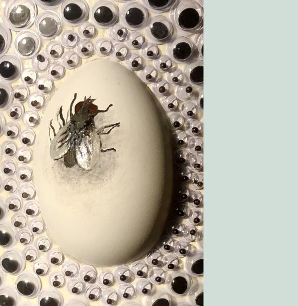 3d collage by James Harcourt. Googly eyes and a rock painted with fly that look like it could be real.
