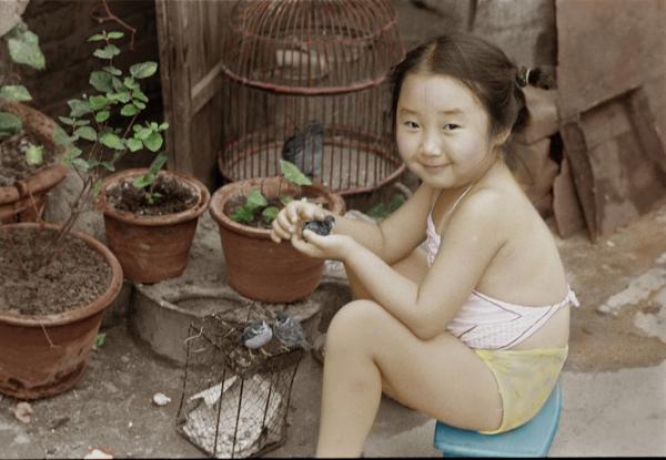 Girl with Bird image